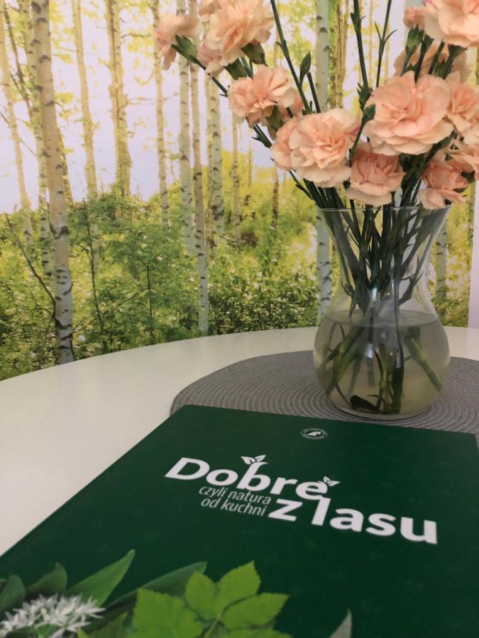 Lesny Dwor Aparthotel Mielno  Kültér fotó